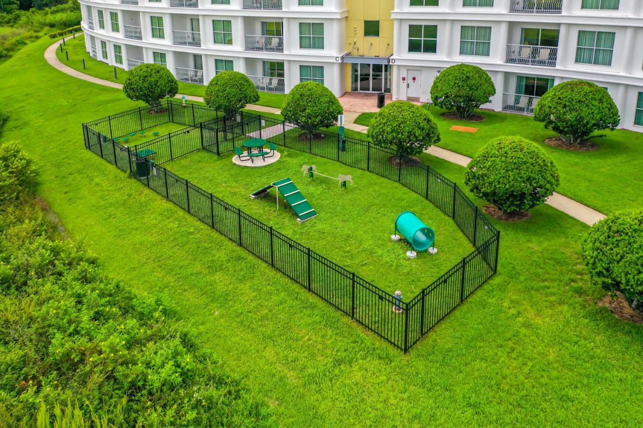 Pet Friendly In Orlando Area Near Disney 塞利布雷申 外观 照片
