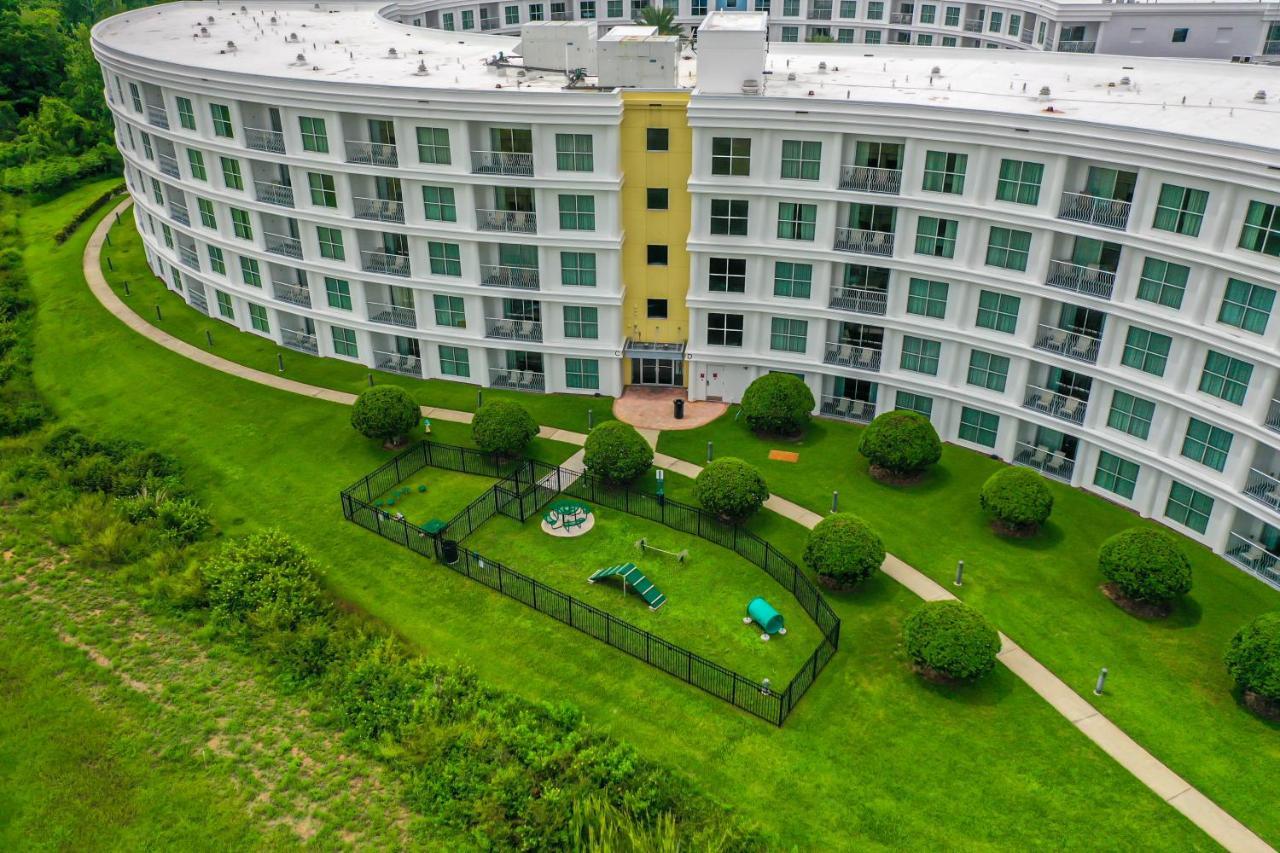 Pet Friendly In Orlando Area Near Disney 塞利布雷申 外观 照片